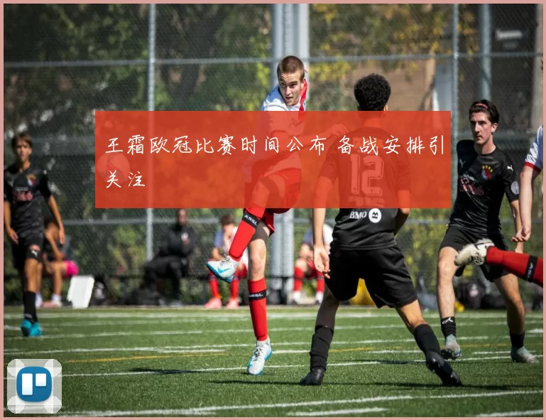 王霜欧冠比赛时间公布 备战安排引关注