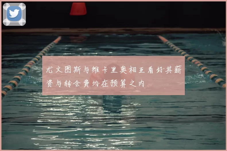 尤文图斯与维卡里奥相互看好其薪资与转会费均在预算之内