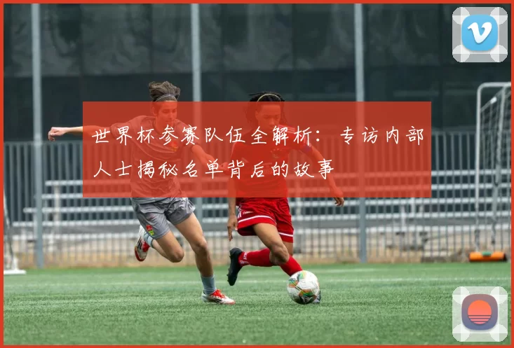 世界杯参赛队伍全解析:专访内部人士揭秘名单背后的故事