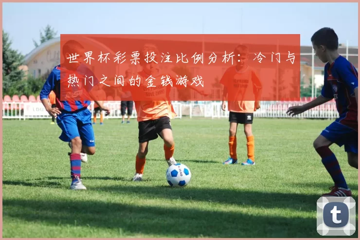 世界杯彩票投注比例分析:冷门与热门之间的金钱游戏