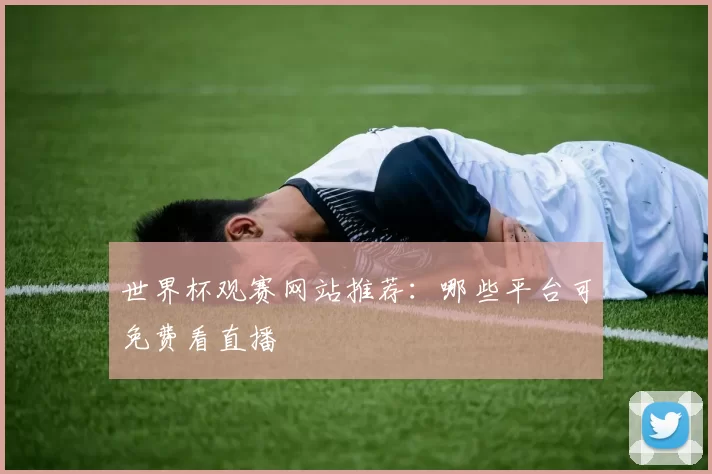 世界杯观赛网站推荐:哪些平台可免费看直播