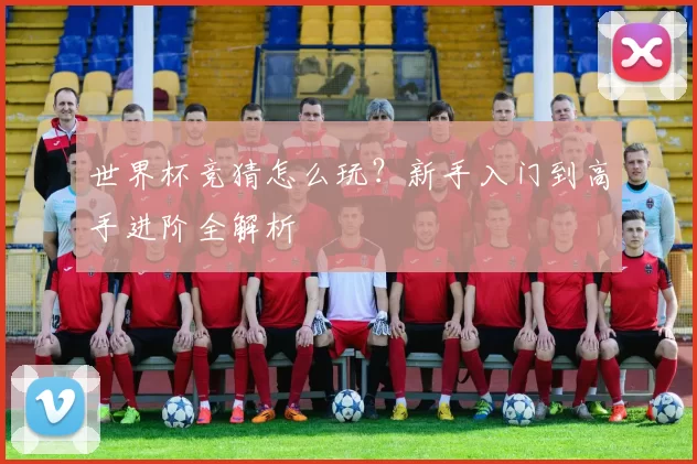 世界杯竞猜怎么玩?新手入门到高手进阶全解析