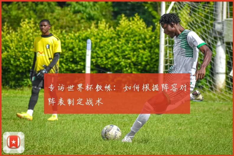专访世界杯教练:如何根据阵容对阵表制定战术