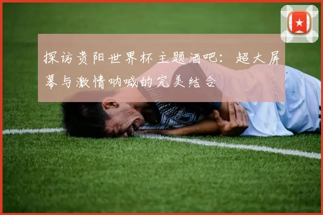 探访贵阳世界杯主题酒吧:超大屏幕与激情呐喊的完美结合