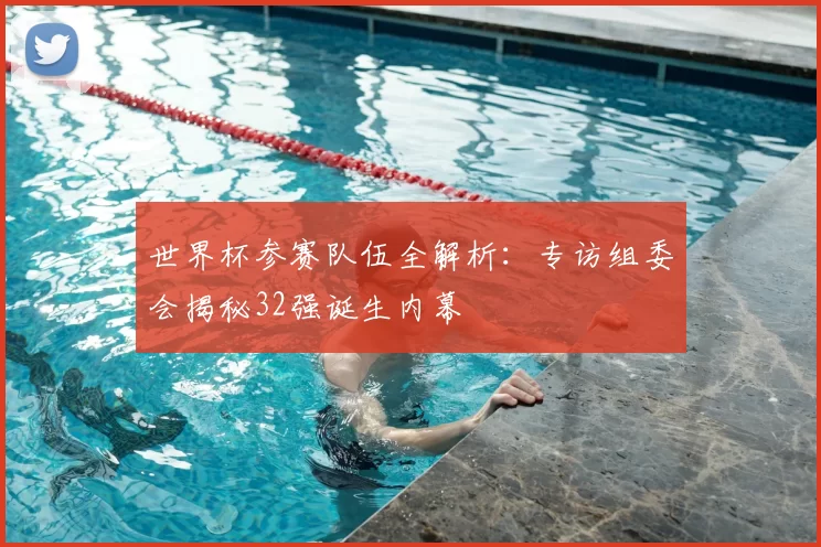 世界杯参赛队伍全解析:专访组委会揭秘32强诞生内幕