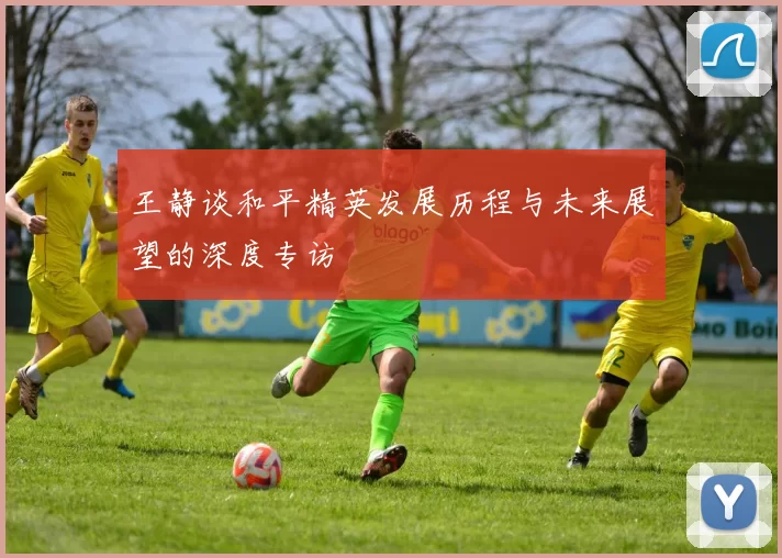 王静谈和平精英发展历程与未来展望的深度专访