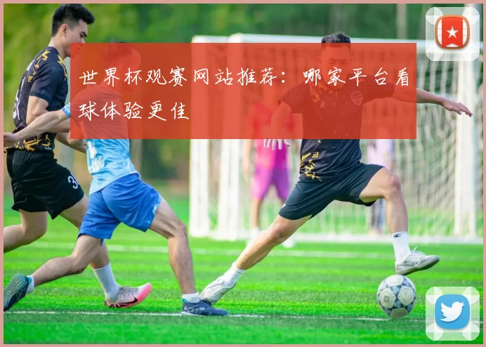 世界杯观赛网站推荐:哪家平台看球体验更佳